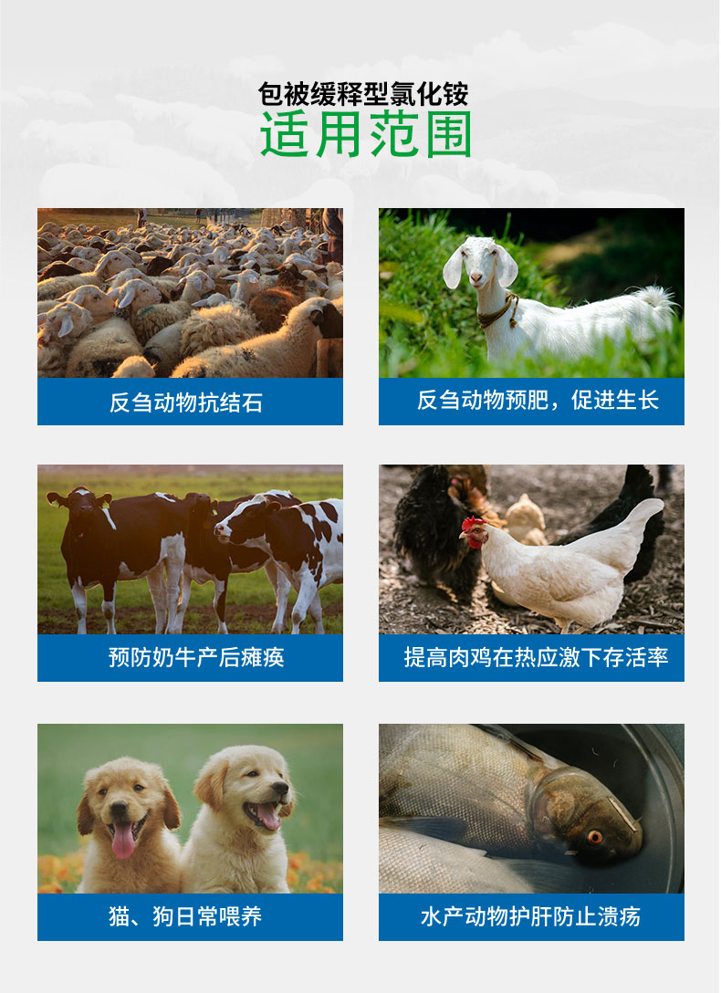 包被型飼料添加劑氯化銨 包被型飼料添加劑氯化銨