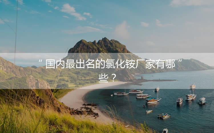 國(guó)內(nèi)最出名的氯化銨廠家有哪些？
